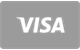 Slot Lair Casino Visa